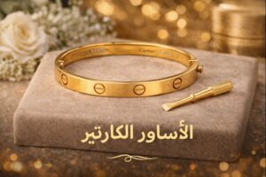 الاساور الكارتير المسمار الأصلية